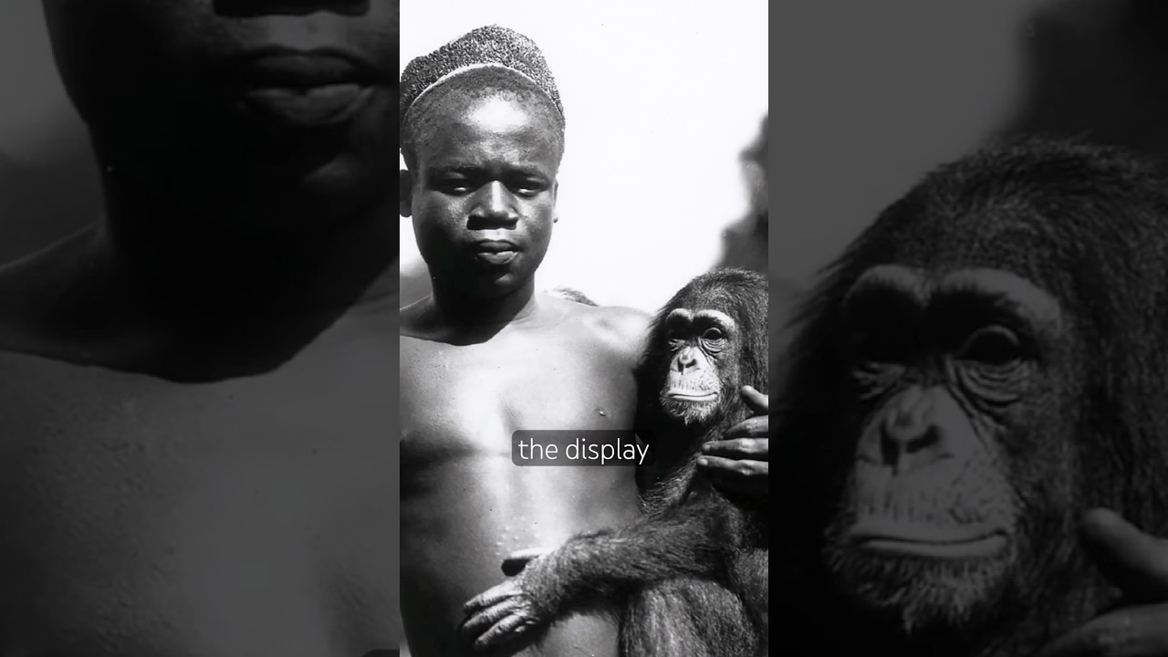 Caged in Bronx Zoo: Ota Benga #documentary #humanzoo #congo