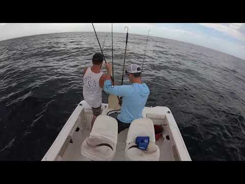 Yakety Sax Yellowfin