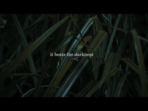 The Laughing Heart by Charles Bukowski