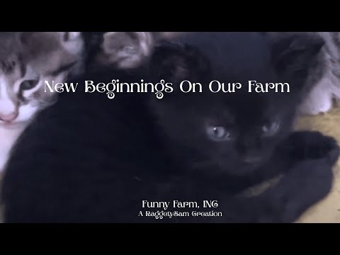 Babies and new Beginnings #funnyfarminc #pearlsofwisdom #capcuttemplate #raggetysam