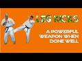 LEG KICKS A Powerful Weapon When Done Well Kyokushin Karate Training With Cameron Quinn
