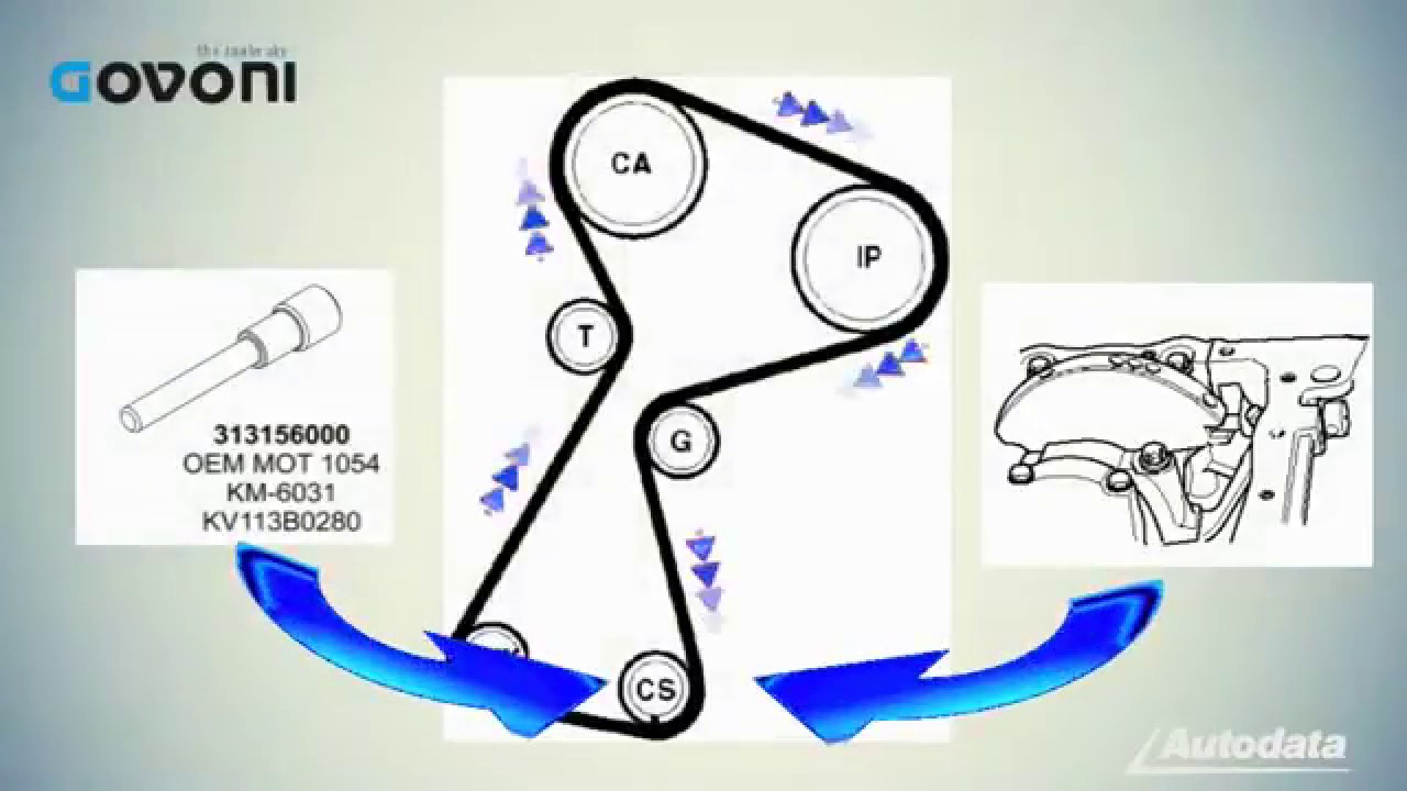 Watch CALADO DE DISTRIBUCIÓN RENAULT NISSAN 1 5 1 9 2 2 2 5 DIESEL Now CALADO DE DISTRIBUCIÓN RENAULT NISSAN 1 5 1 9 2 2 2 5 DIESEL