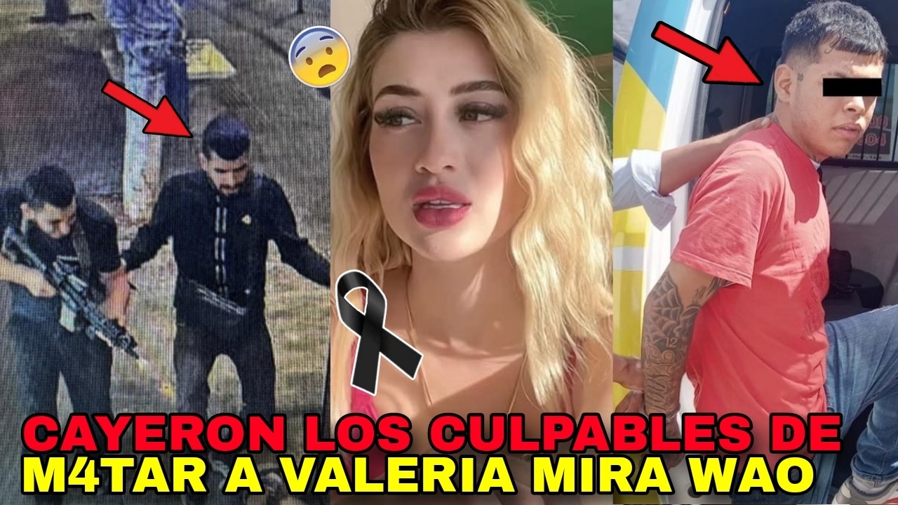 YouTube Thumbnail Downloader FULL HQ IMAGE