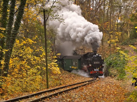 Dampf und Rauch - Pfiff und Zisch - großer Auftritt der Dampflok im Lößnitzgrund
