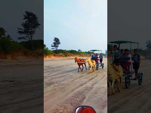 #shrivardhan #konkan #nature #beach