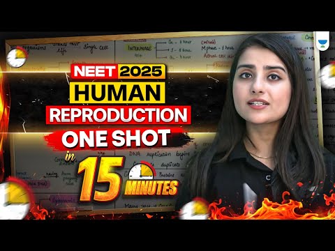 👶 Human Reproduction One Shot in 15 Minutes ⚡ | NEET 2025 🔥 Seep Pahuja #seeppahuja #neet2025