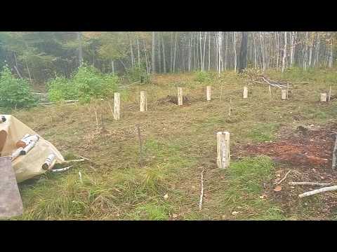 Низкобюджетный купольный летний домик. Часть 1 // 23.09.2018