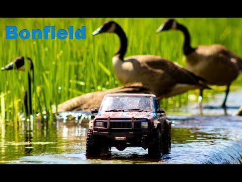 Bonfield nature Crawl Scale Town - RC CWR