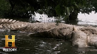MASSIVE SEA MONSTER Washes Up in Bermuda | The Proof Is Out There: Bermuda Triangle (S1) | History