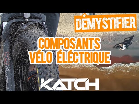 L'importance des composantes