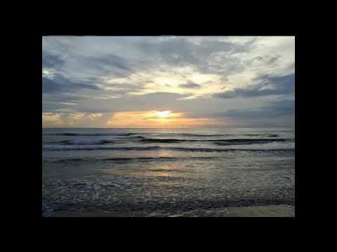 LOS CADETES   :  No Seas Ingrata.