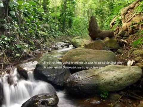 TE CHEAMA UN TATA PE NUME-Grupul Emanuel Canada