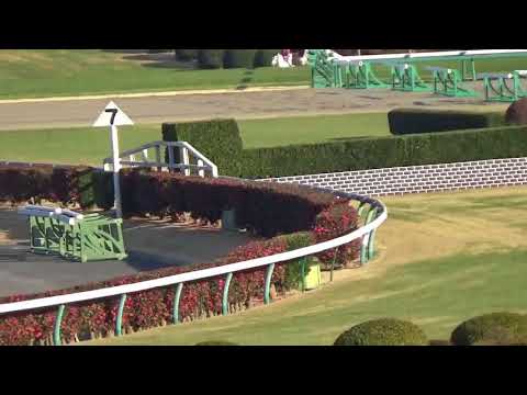 2017.12.23.J-G1.中山大障害.オジョウチョウサン