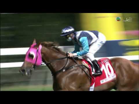 2020/21 (363) - Igniting (鴻運飛鷹) - 潘頓