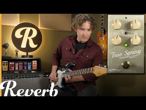 What's the Difference? Source Audio's True Spring v. Amp Spring Reverb | Reverb Tone Report