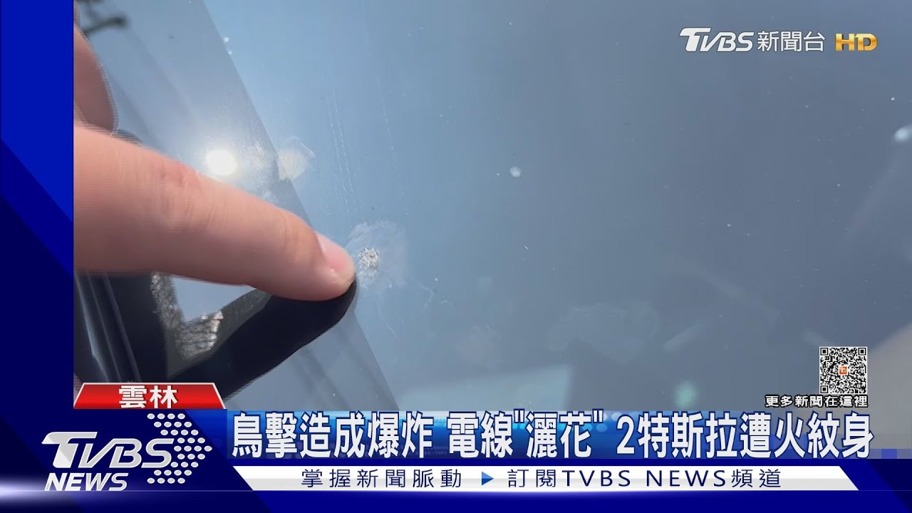 鳥擊造成爆炸!電線「灑花」 2特斯拉遭火紋身