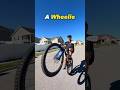 HOW To WHEELIE On MTB