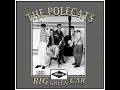 The Polecats - Big Green Car (1981)