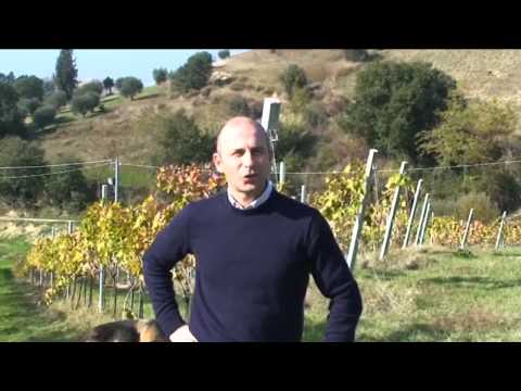 La Quercia Azienda Agricola