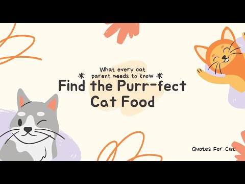 Finding the Purr-fect Cat Food: What Every Cat Parent Needs to Know! 🐾😻