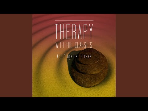 Concerto for Flute and Oboe in C Major: Allegro Spiritoso