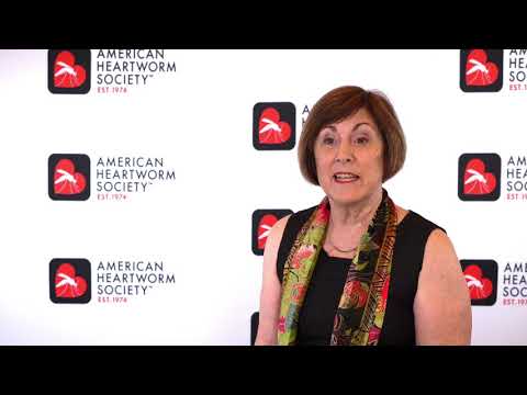 Talking to dog owners about rest and recovery during heartworm treatment