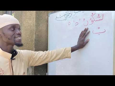 🌳🌳 QAA-EDA MUKANMAL ➖ YASARNAL QUR'AN -🎙️🎙️ NAZIR MUWATI - {prt -23}