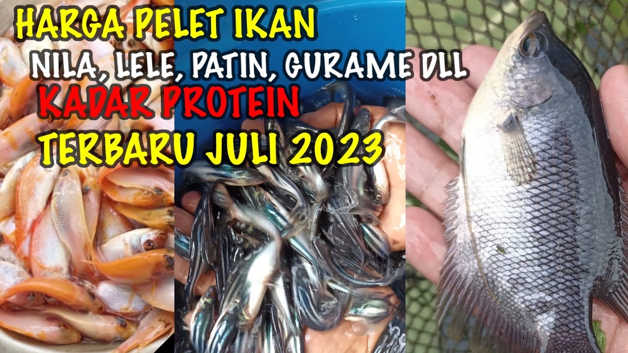 HARGA TERBARU PELET ATAU PAKAN IKAN NILA, LELE, GURAME, PATIN DLL