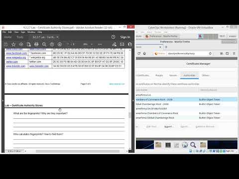 9.2.2.7 Lab - Certificate Authority Stores
