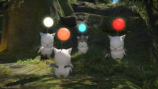 【PS版FF14初心者🔰】光のこどおじ