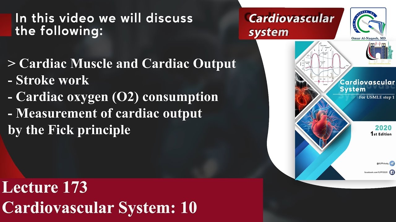 Stroke work | Cardiac oxygen (O2) consumption | Measurement of cardiac output by the Fick principle