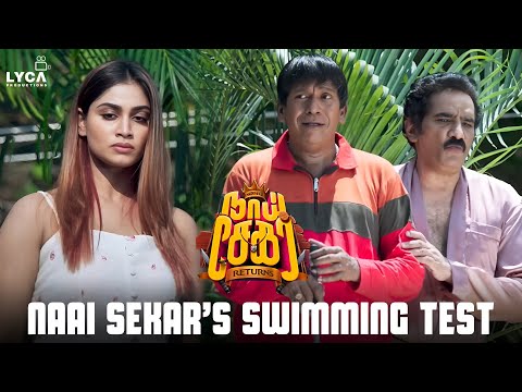 Naai Sekar's Swimming Test  | Naai Sekar Returns Movie Scenes | Vadivelu | Sivaangi | Kingsley