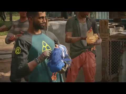 Far cry6 chicken fights
