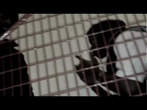 SG ft KAY - Show Mercy - Filmed And Edited By@bigbawsemedia