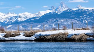 Water Wise Update: Snow Water Equivalent