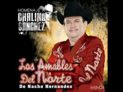Los amables del norte. Corrido compa nandillo
