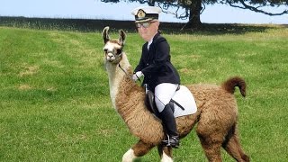 Gunther D speelt het alfabetspel met prins Laurent