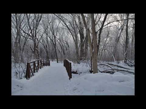 MAGIC WINTER EDEN PRAIRIE MINNESOTA FEBRUARY 2020