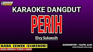 Download lagu PERIH - KARAOKE DANGDUT | ELVY SUKAESIH mp3 Download lagu PERIH - KARAOKE DANGDUT | ELVY SUKAESIH mp3