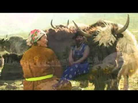 Dorvon golin uyanga- Mandalsuren CTA