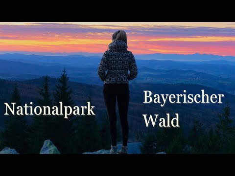 Die schönsten Orte im Nationalpark Bayerischer Wald | 4K