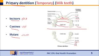 اشتراك شرح مادة PHC374