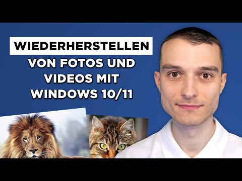 Top 5 Kriterien bei der Auswahl der besten Bilder Wiederherstellen Software