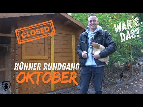 Chicken tour October 2025 - Closed!