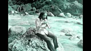 Augustus Pablo - King Tubby's The Dub Organiser