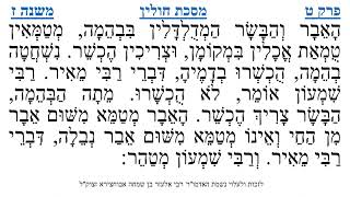 מסכת חולין פרק ט משנה ז