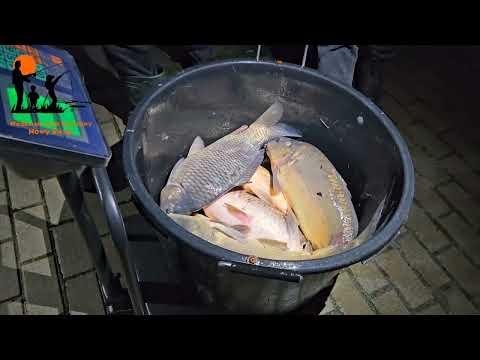 Zarybienie luty 2024