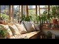 Laufey Best Jazz Playlist L Laufey 노래 모음ㅣSummer Jazz