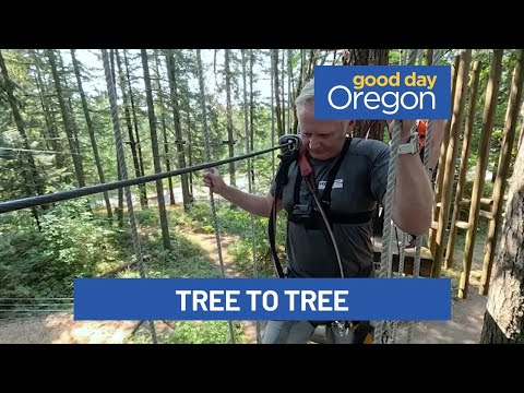 Andy’s Adventures: Tree to Tree Adventure Park