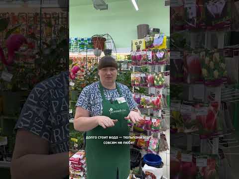 Удачный сад: видео